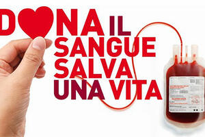 Sangue, a Massa Carrara il 35 per cento dei nuovi donatori Avis è under 25