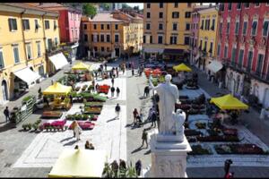 Carrara in fiore: buona l&#039;idea ma troppo esiguo lo sviluppo secondo il consigliere Massimiliano Manuel di FdI