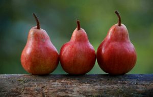 frutta orario