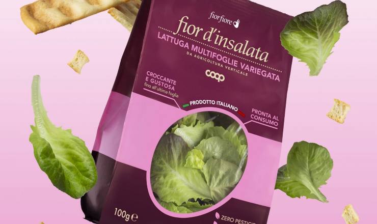 Insalata (Coop) - Lagazzettadimassaecarrara.it