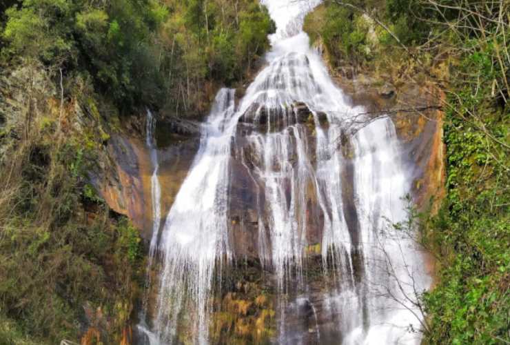 Cascata dell'acqua pendente Pruno
