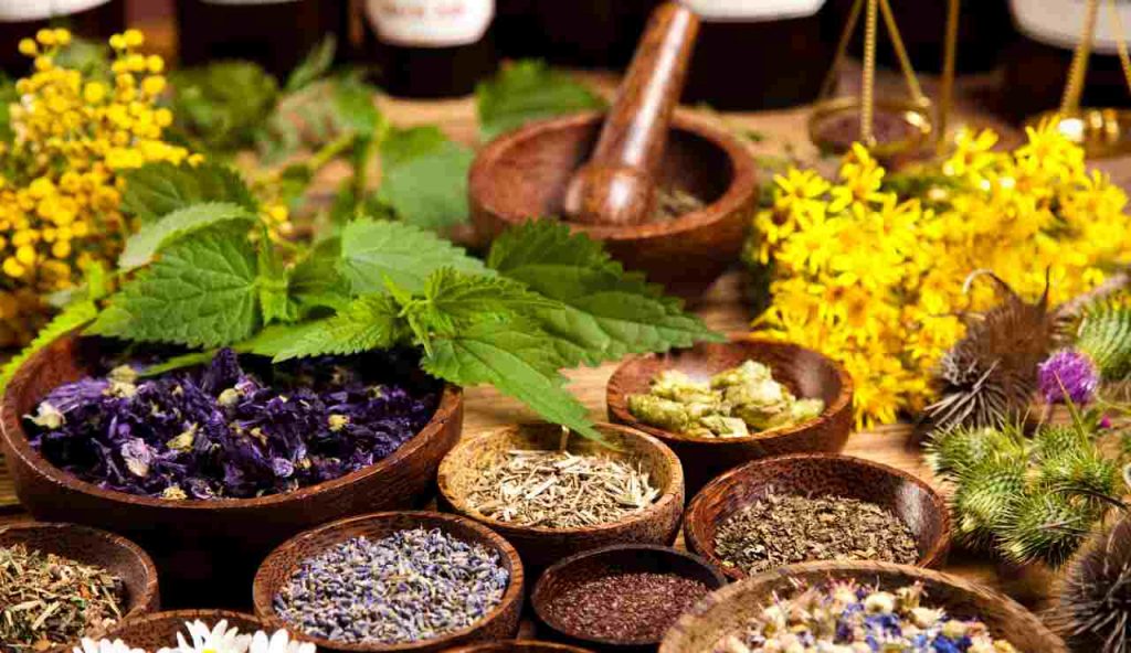 Erbe medicinali