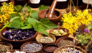 Erbe medicinali