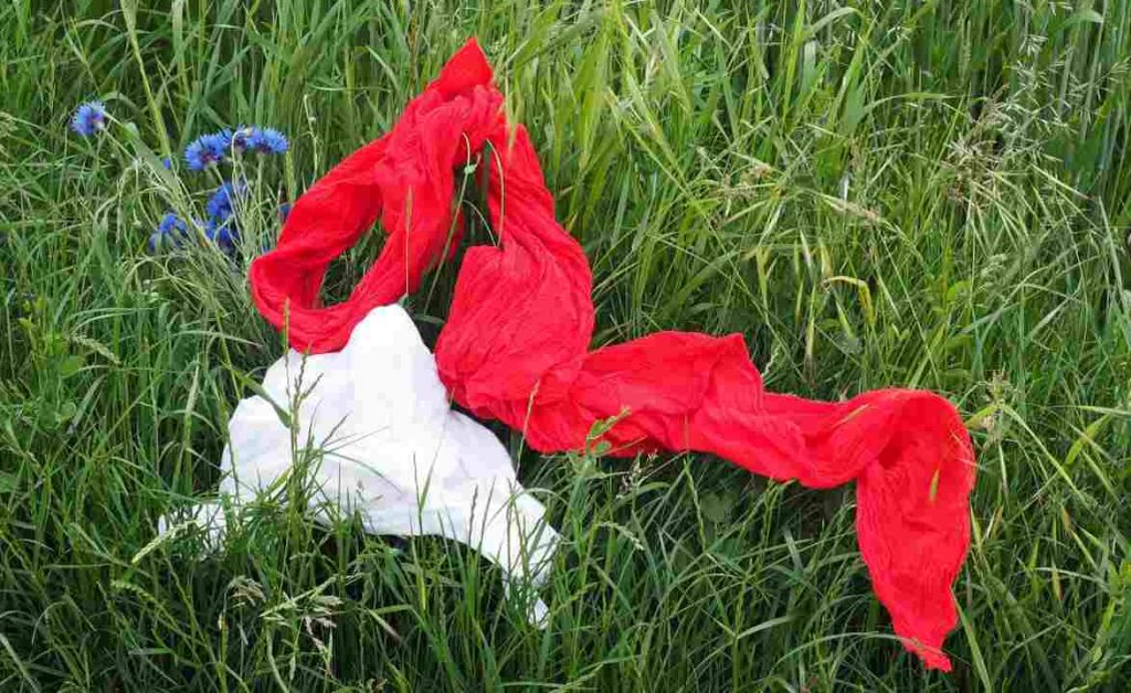 Indumenti a terra - Lagazzettadimassaecarrara.it