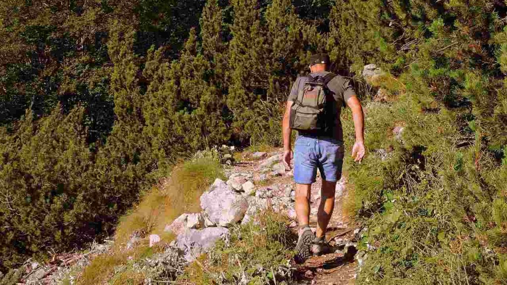 Passeggiata in montagna - Lagazzettadimassaecarrara.it
