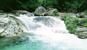 Torrente Renara