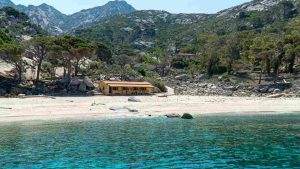 Isola di Montecristo