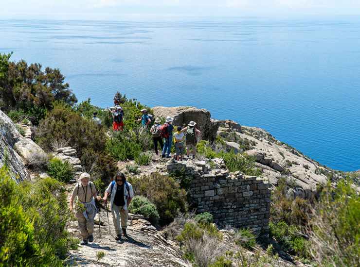 Isola di Montecristo