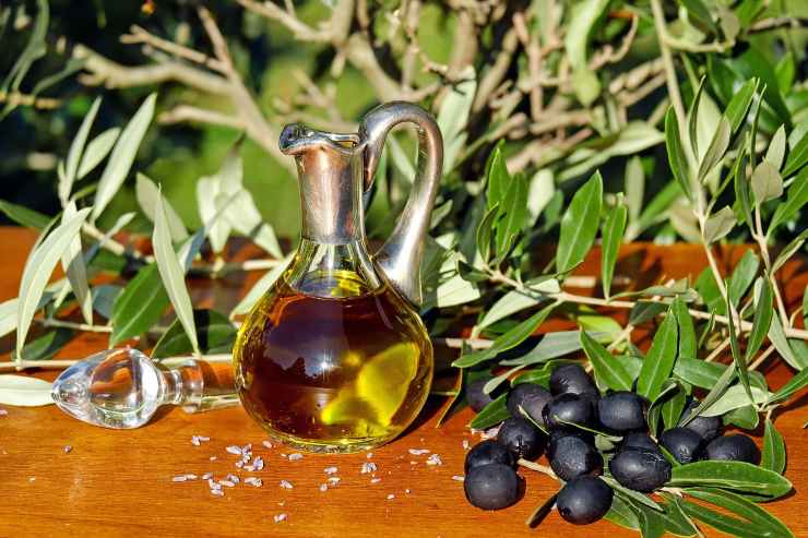 olio evo ecco le novità