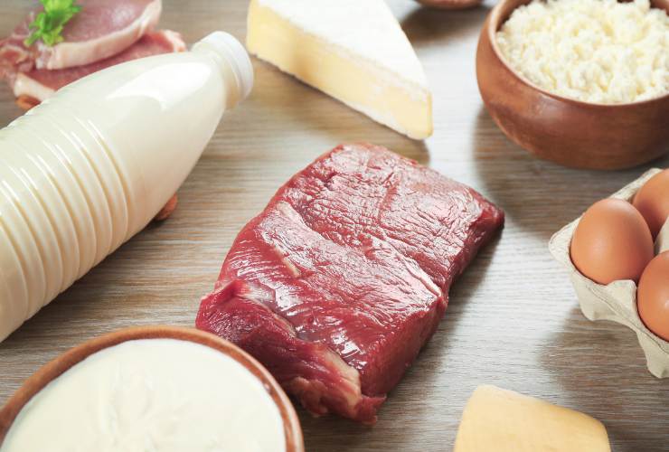 Carne e latticini