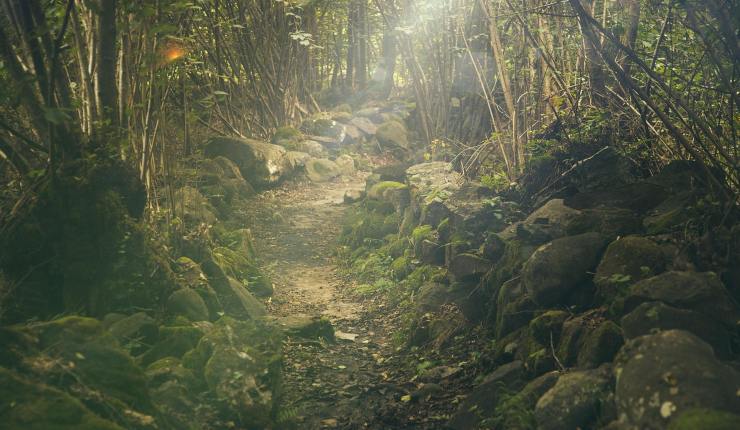 Escursione nell'appennino - Lagazzettadimassaecarrara.it
