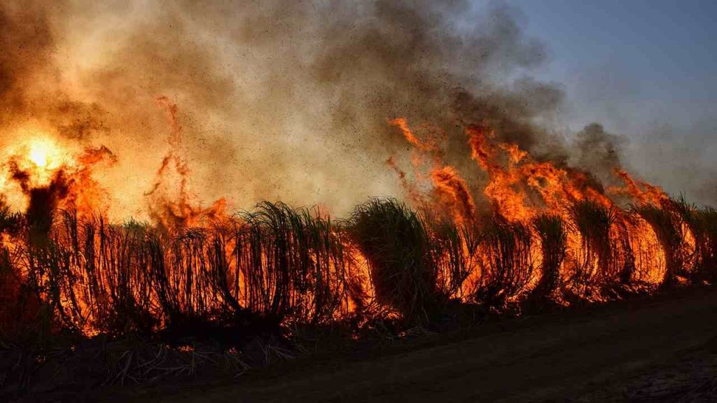 Incendio - Lagazzettadimassaecarrara.it
