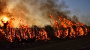 Incendio - Lagazzettadimassaecarrara.it