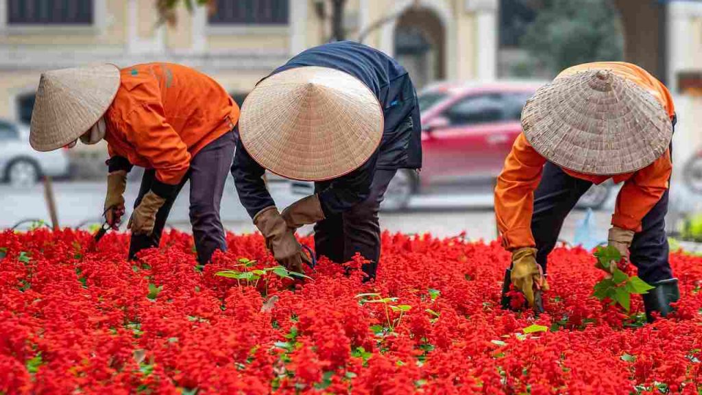 lavoratori e novità