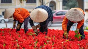 lavoratori e novità