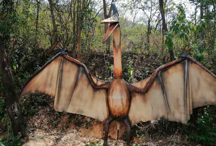 Dinosauro-uccello