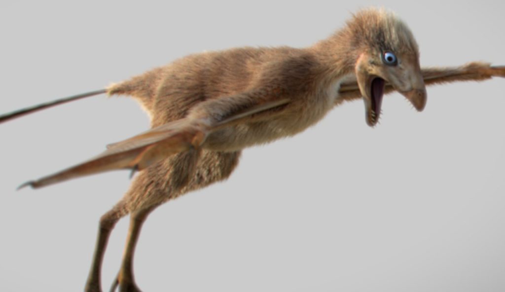Dinosauro-uccello