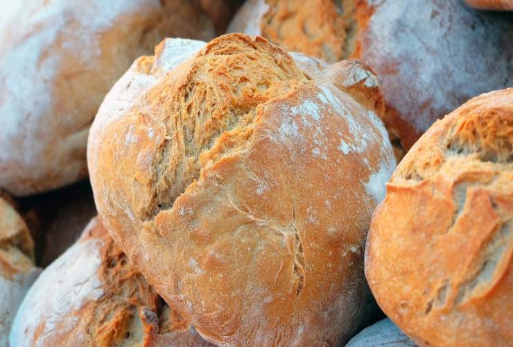 Pane fresco