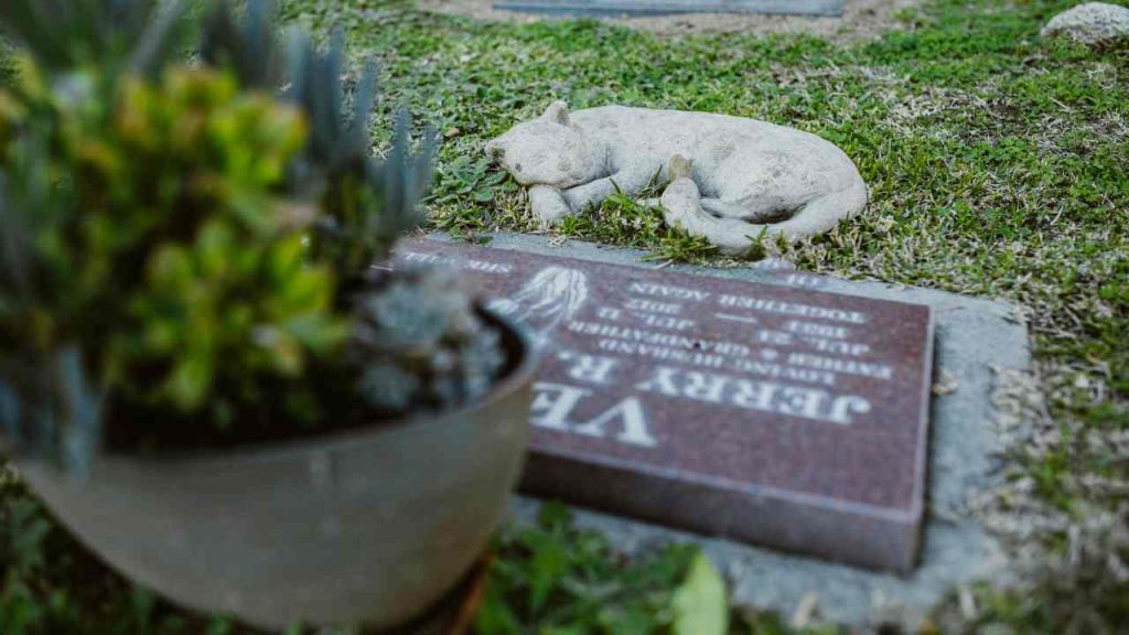Tumulazione degli animali - Lagazzettadimassaecarrara.it
