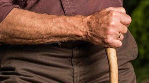 pensioni e novità