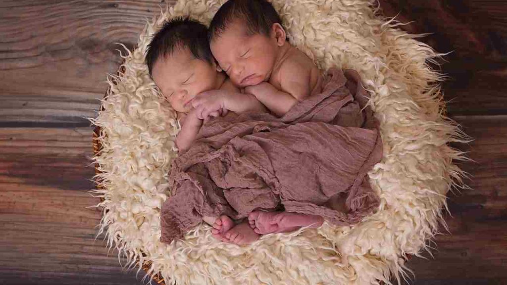 gemelli