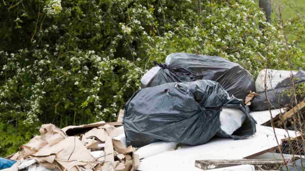 Discarica - Lagazzettadimassaecarrara.it
