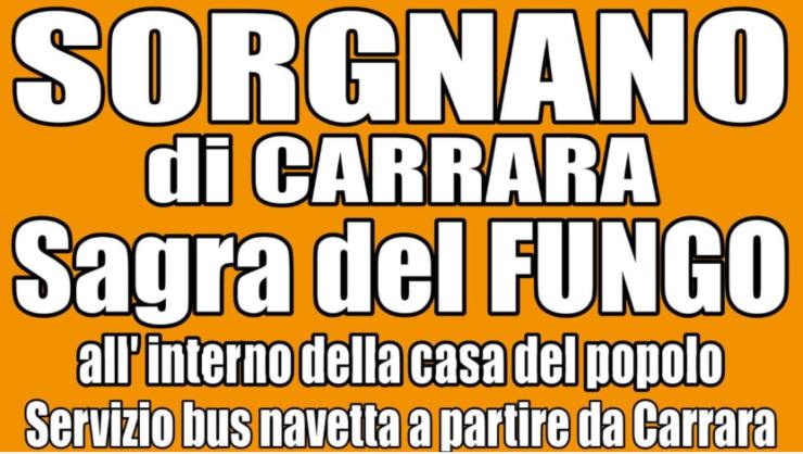 Sagra del Fungo - Lagazzettadimassaecarrara.it